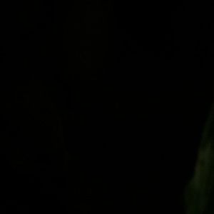 Meet your Posher, Jimena